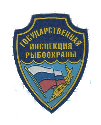 Широков Андрей Владимирович